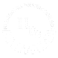 Harmonium Foundation Goa